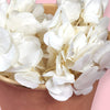Zoi&co's tub of Pearl Perfection hydrangea bits showcasing pure elegance for wedding cakes
