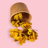 Zoi and Co's Golden Glow preserved hydrangea petals ready for cake decorating."