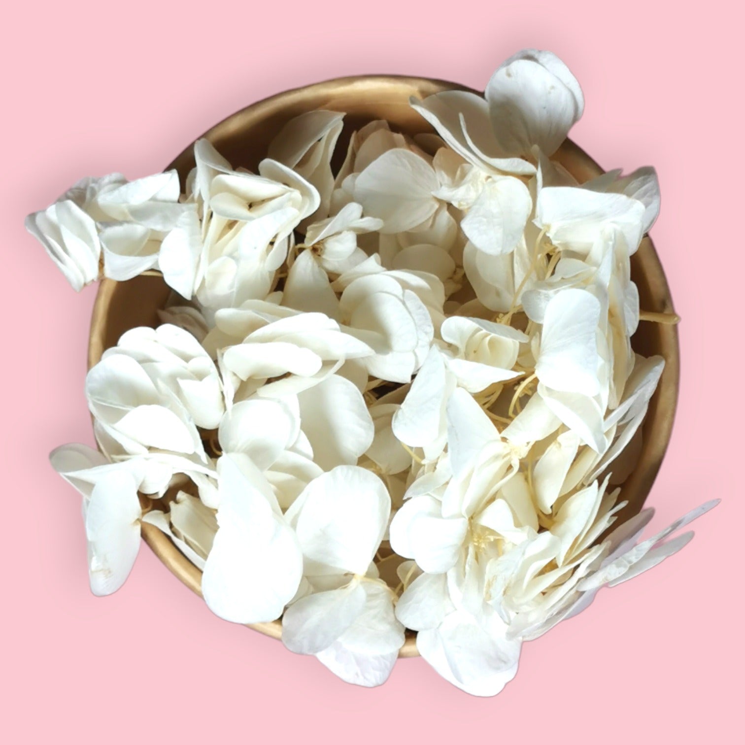 Pearl Perfection White Hydrangea - Zoi&co | Cake Decorating ...