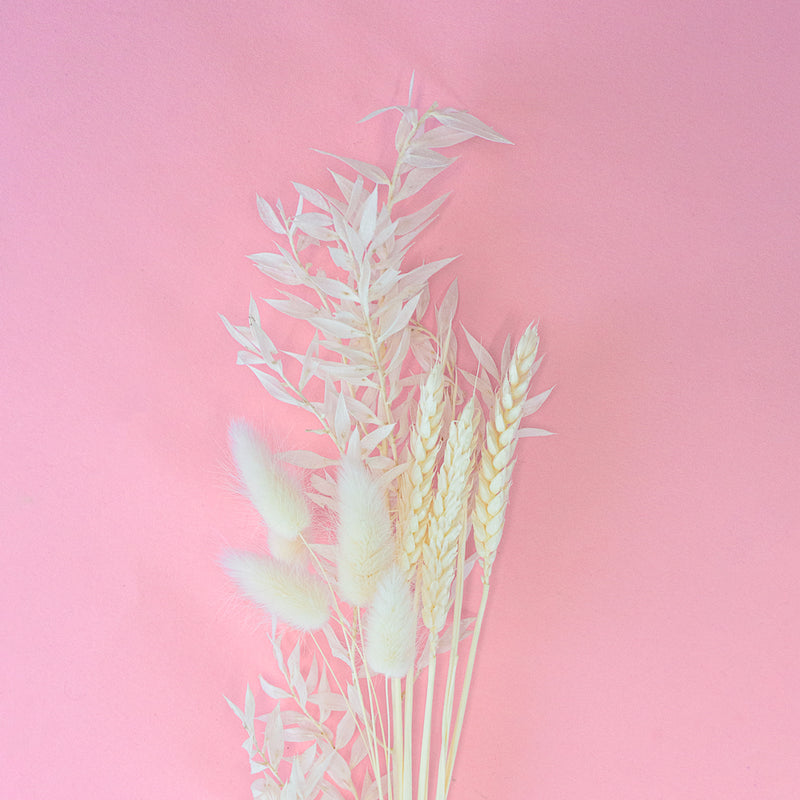 white dry flowers for cake decorating zoi&co blooms