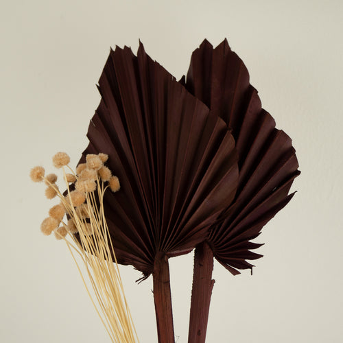 Dante - Dry Flowers for Cakes by ZoiandCo Blooms