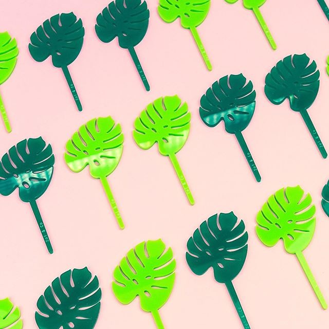 Tropical Leaf - Cupcake Set -6pcs- - Zoi&Co