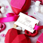 Happy Valentine's Day Classic Rectangular Gift Tag Promo Pic