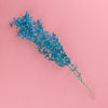 blue dried ruscus cake decorating florals zoiandco blooms