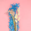 blue dry flowers for cake decorating gender reveal zoiandco
