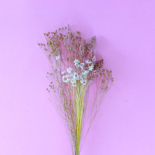 blush dry flowers for cake decorating zoi&co blooms