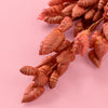 BRIZA TERRACOTA - Dried Cake Blooms