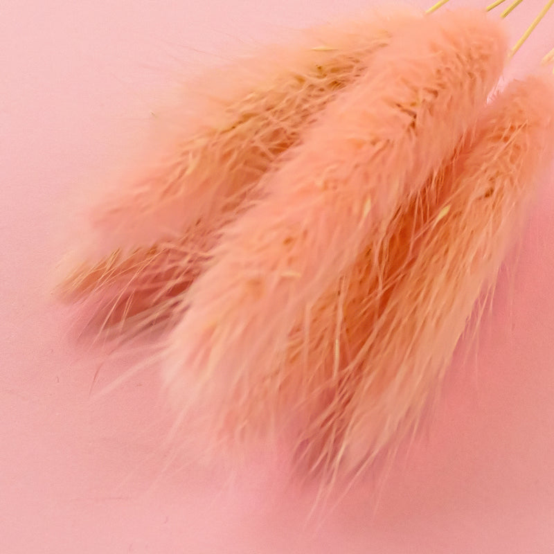 BUNNY TAIL PINK- Dried Cake Blooms