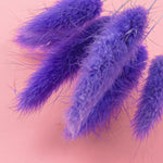 BUNNY TAIL PURPLE - Dried Cake Blooms