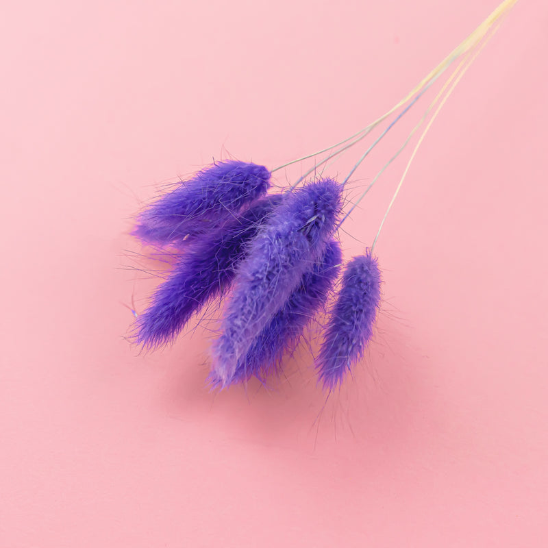 BUNNY TAIL PURPLE - Dried Cake Blooms