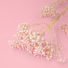 cake decorating preserved flowers rice flower baby pink