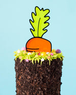 carrot top cake topper zoiandco