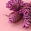 lavender phalaris dried flowers cake decorating zoiandco