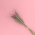 lavender wheat dried flowers cake decorating zoiandco