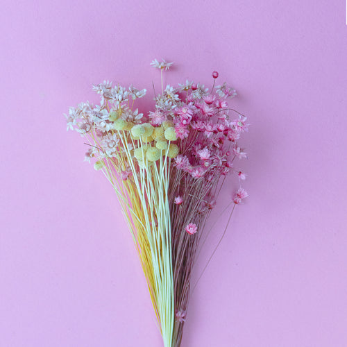 The Art of Edible Dried Flowers: Elevate Your Baking Game - Zoi&Co
