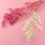 pink and white dried ruscus cake decorating florals zoiandco blooms