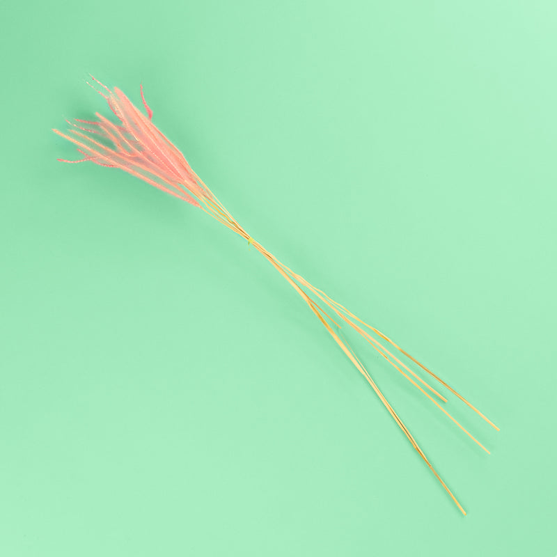 pennisetum pink dried blooms for cake decorating zoiandco 