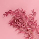 pink dried ruscus cake decorating florals zoiandco blooms