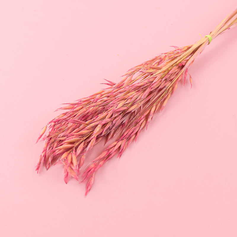 pink dried oats for cake decorating zoiandco blooms