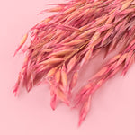 pink dried oats for cake decorating zoiandco blooms close up